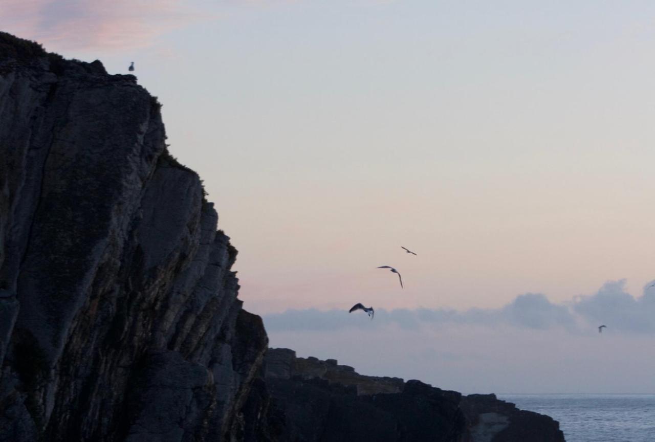 Refugio Do Almograve Διαμέρισμα Εξωτερικό φωτογραφία